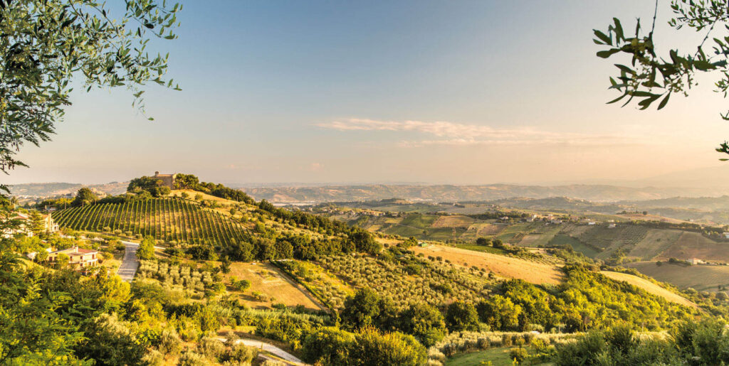 Produzione olive all'ascolana e fritto misto | Ascoli Piceno | Macellerie Strozzieri